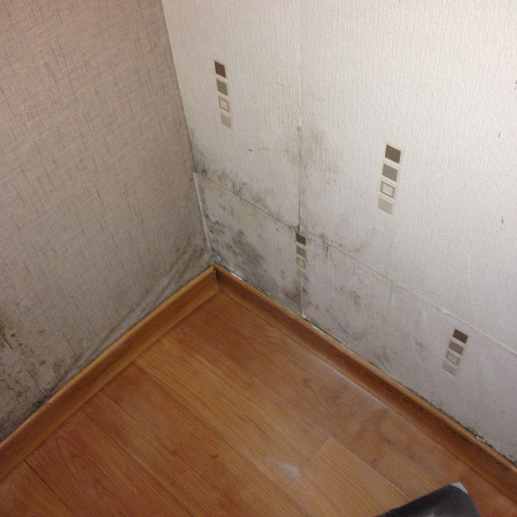 damp treatment in Aberdeen