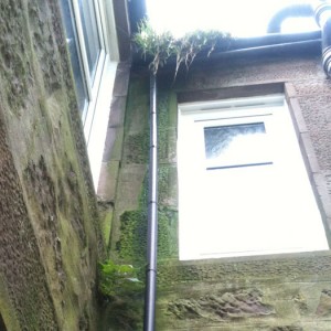 gutter with weeds and faulty downpipe