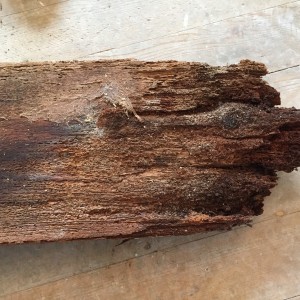 Wet rot affected joist