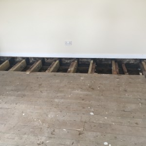 New joists sections