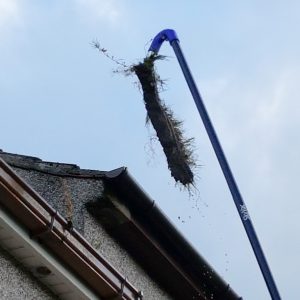 gutter cleaning Moir Green