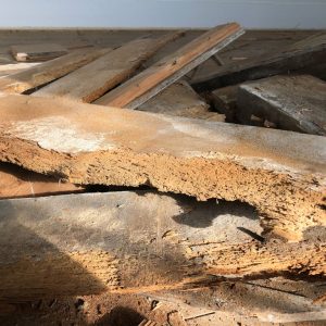 Rotten wallplate