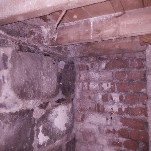 solum dry rot