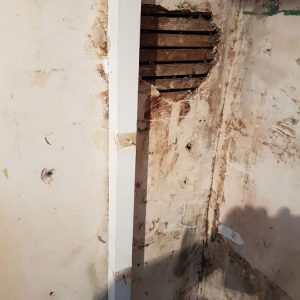penetrating damp on wall