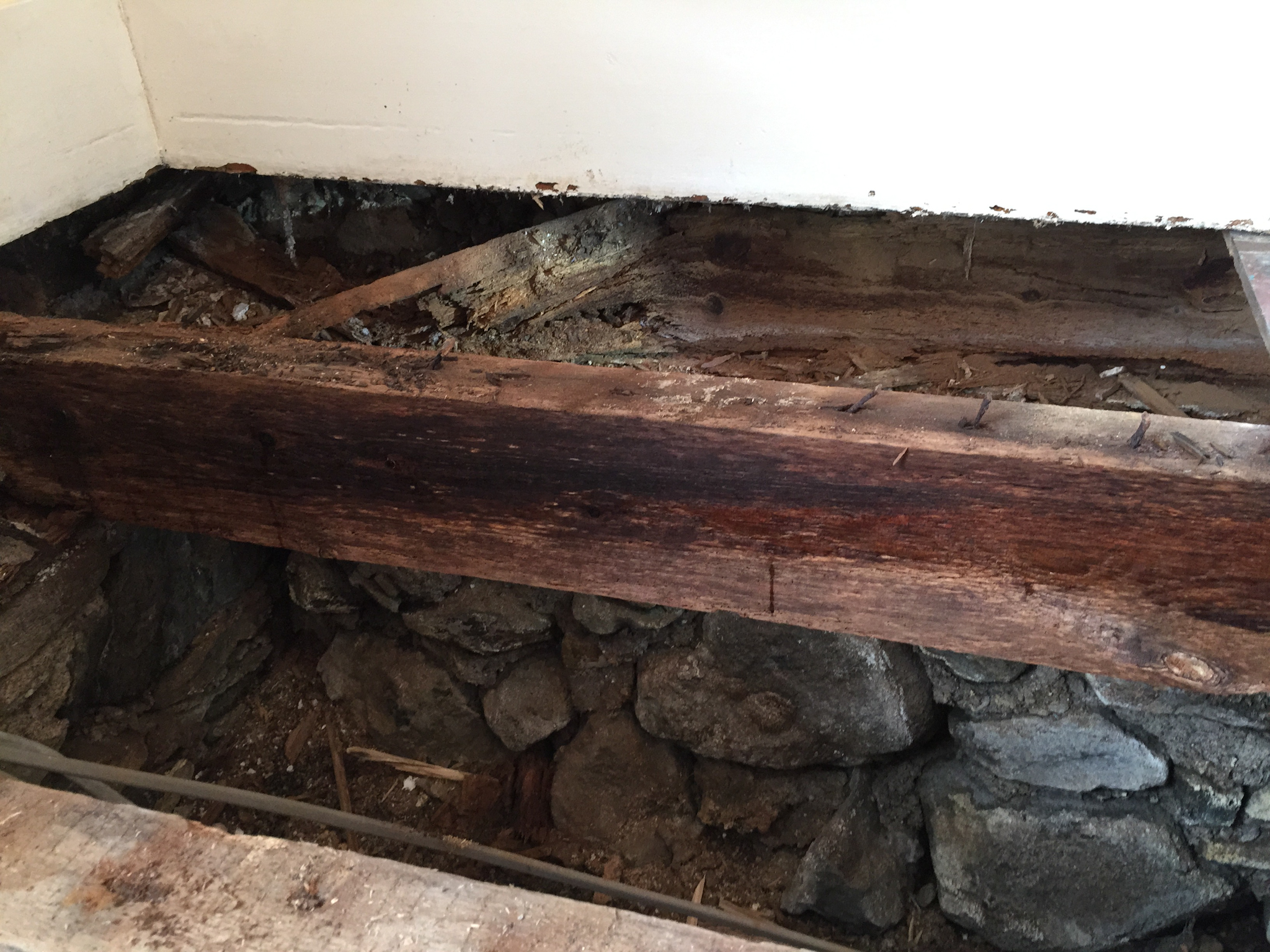 Wet rot affected joist