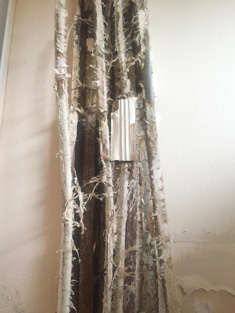 Dry rot on cables