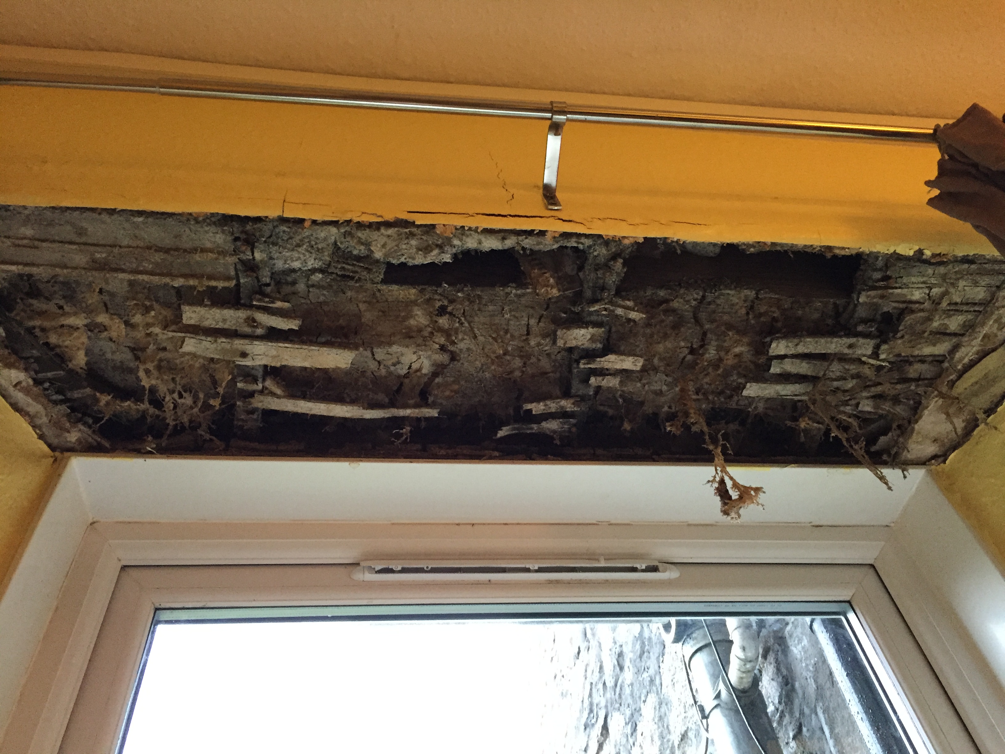 dry rot affected timber lintel