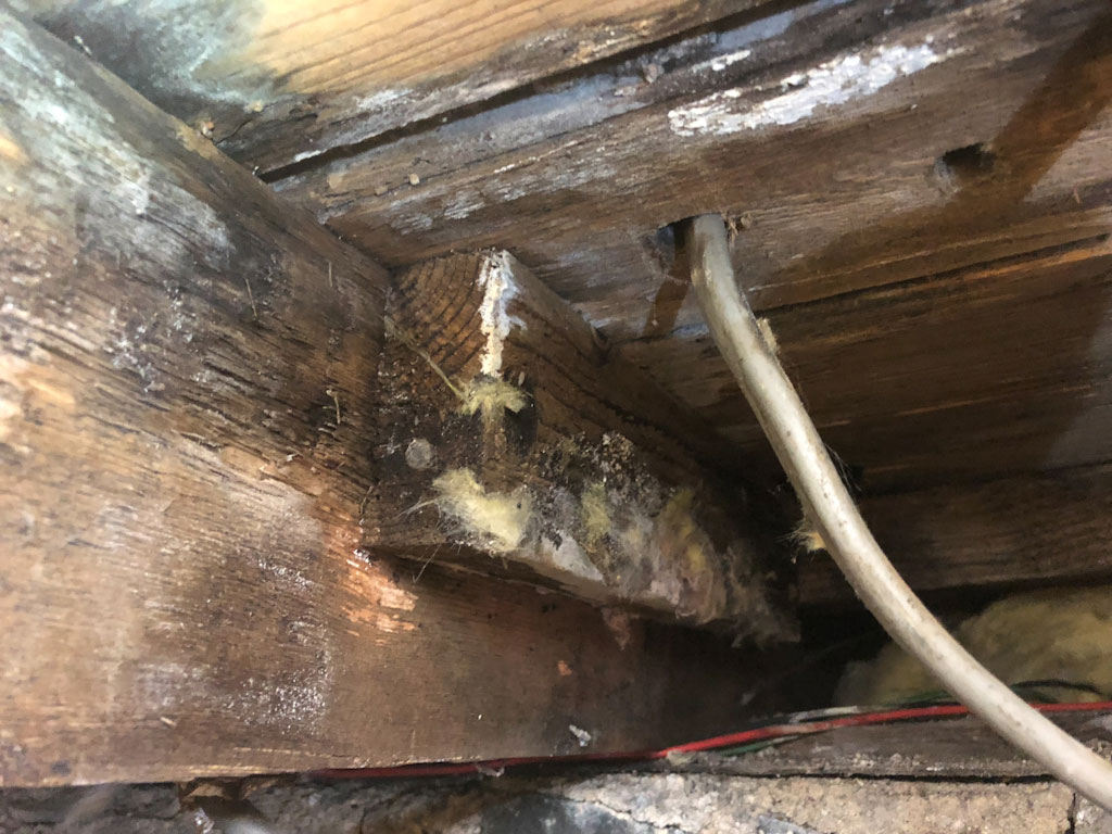 Flooring and joists affected by leaky pipes