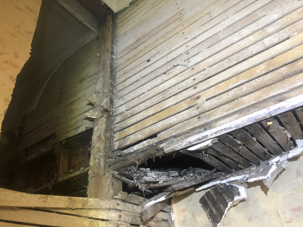 dry rot above cupboard