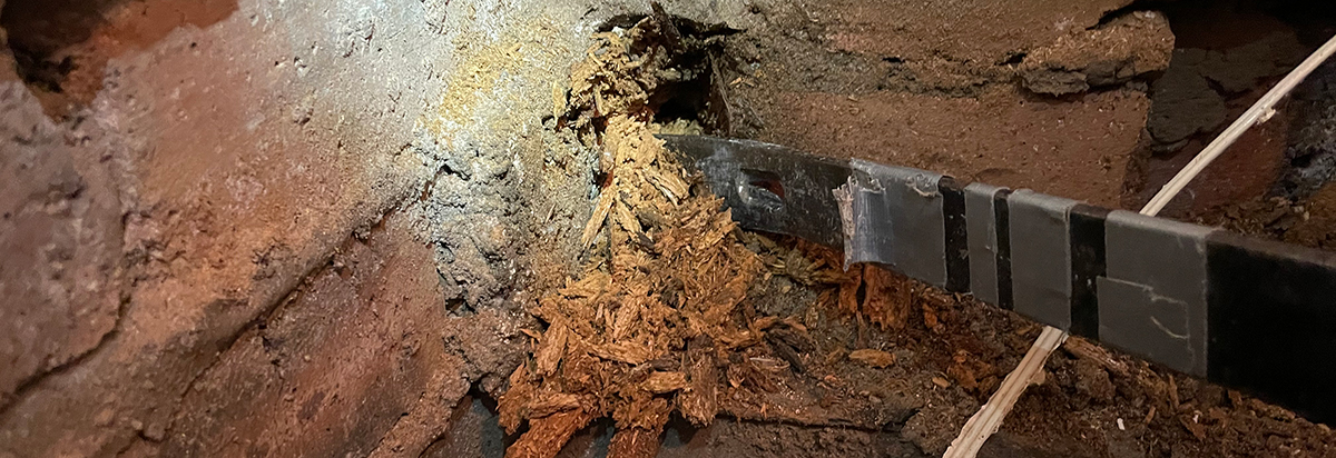 wet rot lintmill featured image