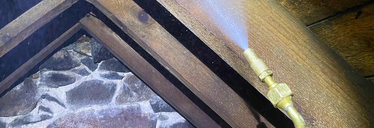 woodworm treatment of roof void