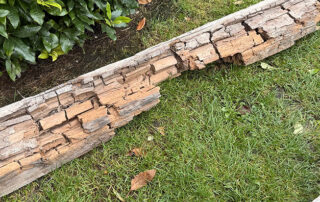 Wet rot at Desswood Place