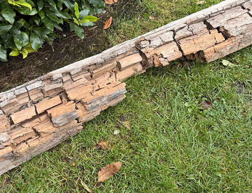 Lintel Repair Desswood Place