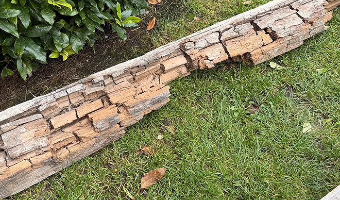 Wet rot at Desswood Place