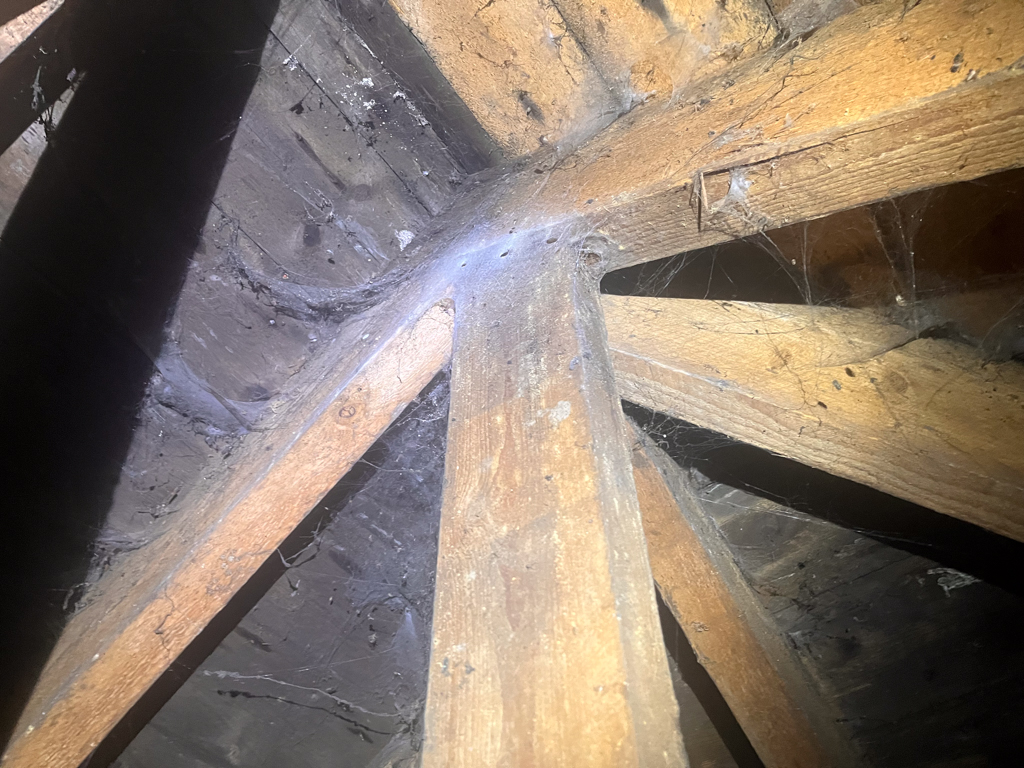 keig-01 Woodworm activity within the loft of a property in Keig, Alford