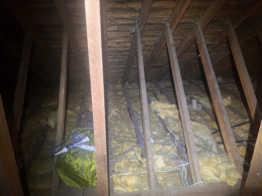 keig-02 Woodworm activity within the loft of a property in Keig, Alford