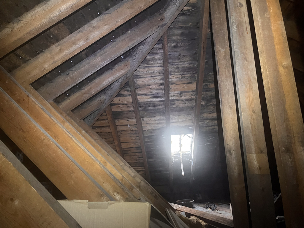 keig-04 Woodworm activity within the loft of a property in Keig, Alford