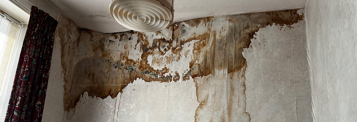 Wall showing penetrating damp